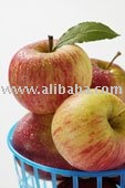 Sell  Apple  Juice Concentrate (Non- aseptic  *  Aseptic  )