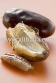 Sell Date Juice Concentrates-Date Syrup