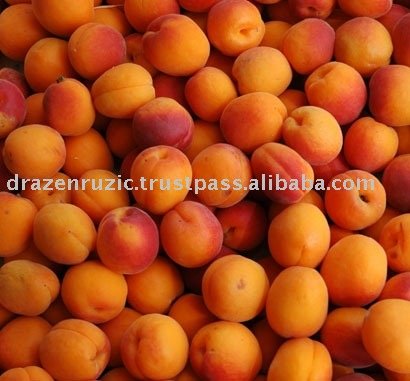 Apricots