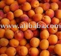 Apricots