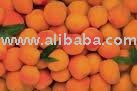 Apricots