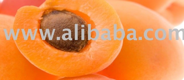  Turkish   Apricot 