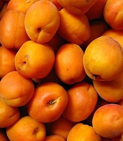Quality apricots