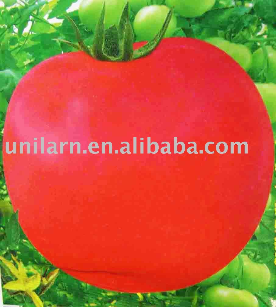 Tomatochina Yeahmei Price Supplier 21food 5726