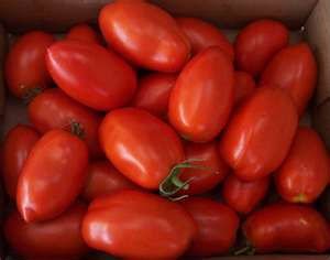 FRESH TOMATO FOR SALE(%100 TOP QUALITY),LIMES,CAVENDISH BANANA,NAVEL & VALENCIA ORANGES,OLIVES,P