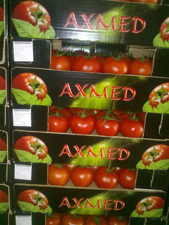 FRESH TOMATO FROM TURKEY