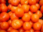 Cute  Tomato es  Export  Quality