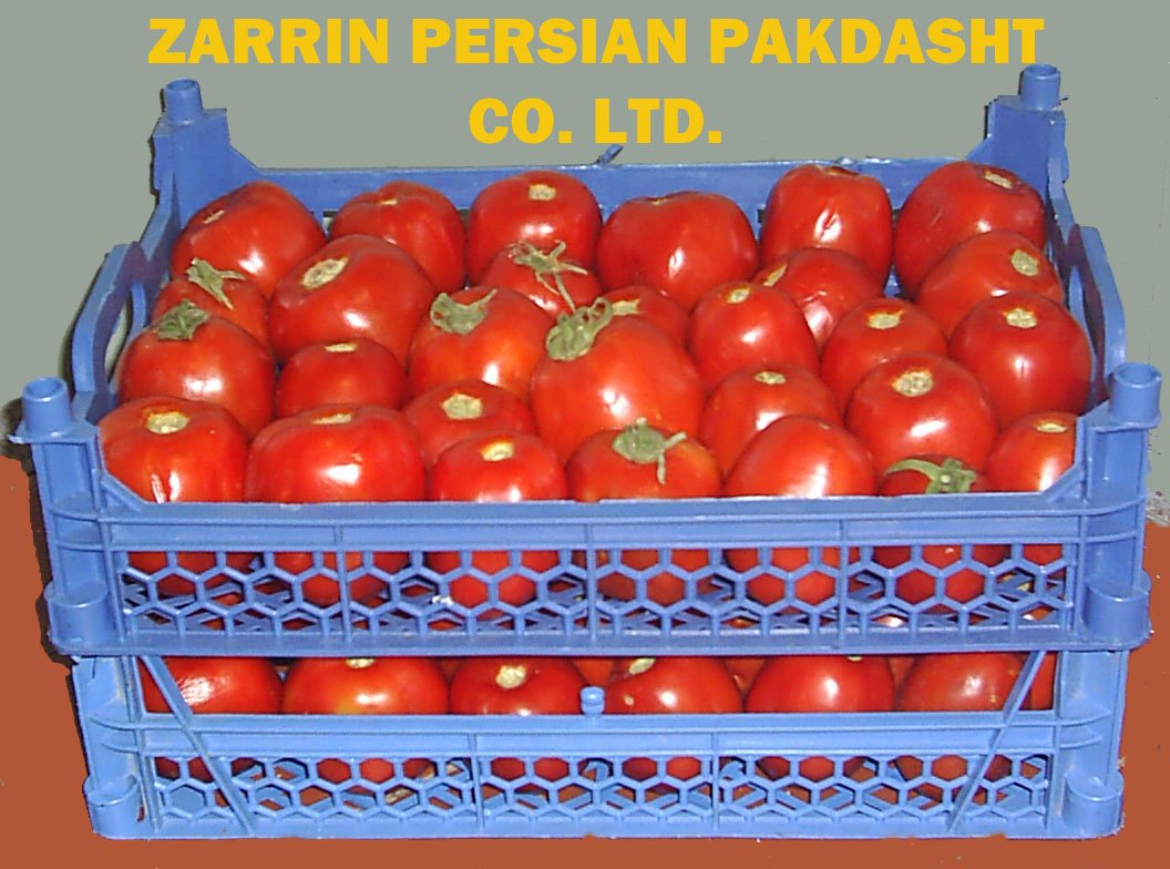 Fresh Tomato