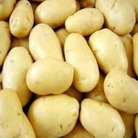 Fresh potatoes