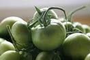 cherry tomatoes