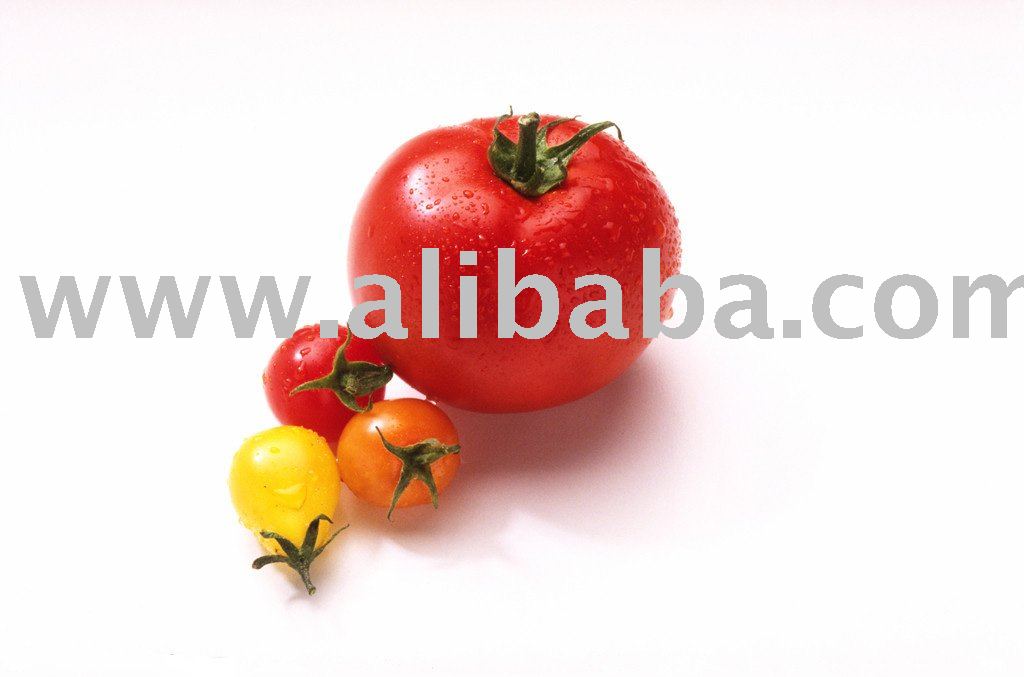 Yammy Cherry Tomato