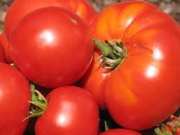 Fresh tomates