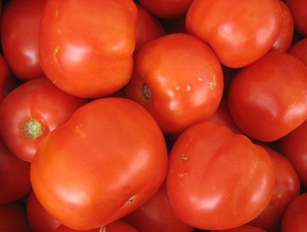 FRESH TOMATO