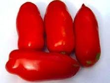 PLUM TOMATOES