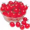 fresh cherry tomato