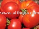Fruit tomatoes