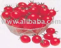 Cherry Tomato