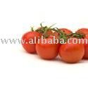 Hot House Tomato