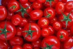 Fresh Tomatoes