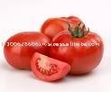 Fresh Garden Tomato