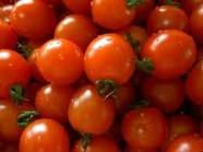  Fresh   Cherry  Tomatoes