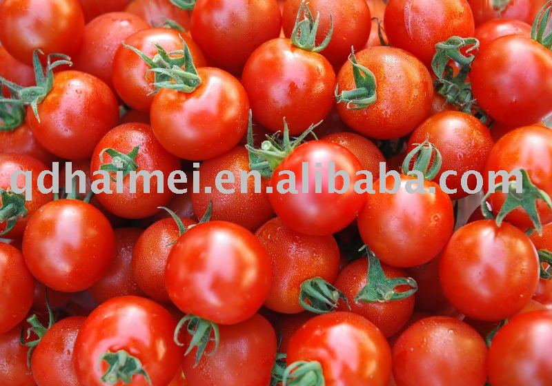 big fresh red tomato, chinese one
