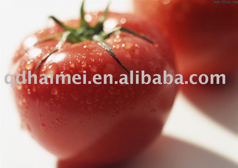 2011 fresh red tomato from china