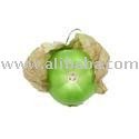 Tomatillo