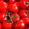 fresh tomatoes