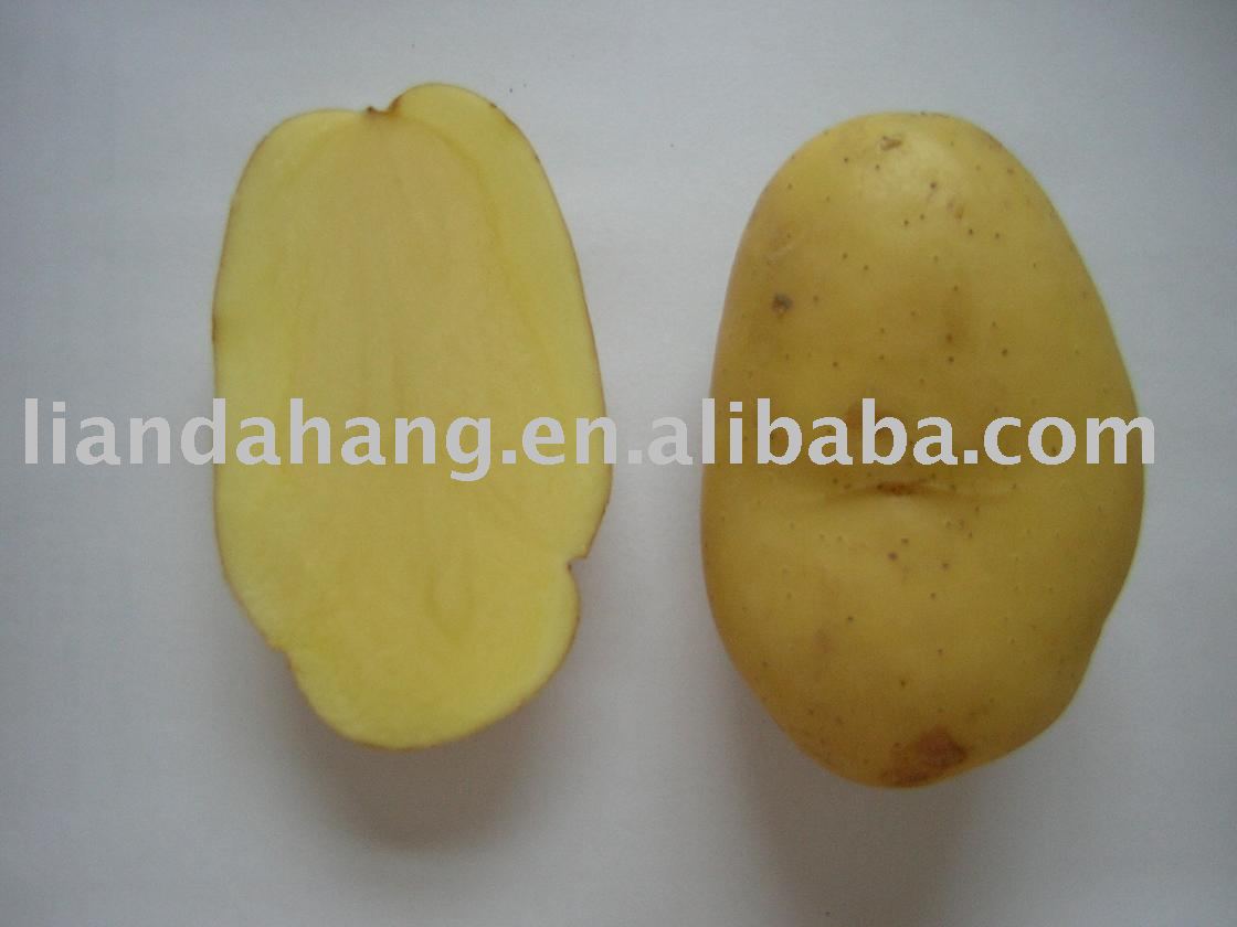 FROZEN POTATO, FOOD