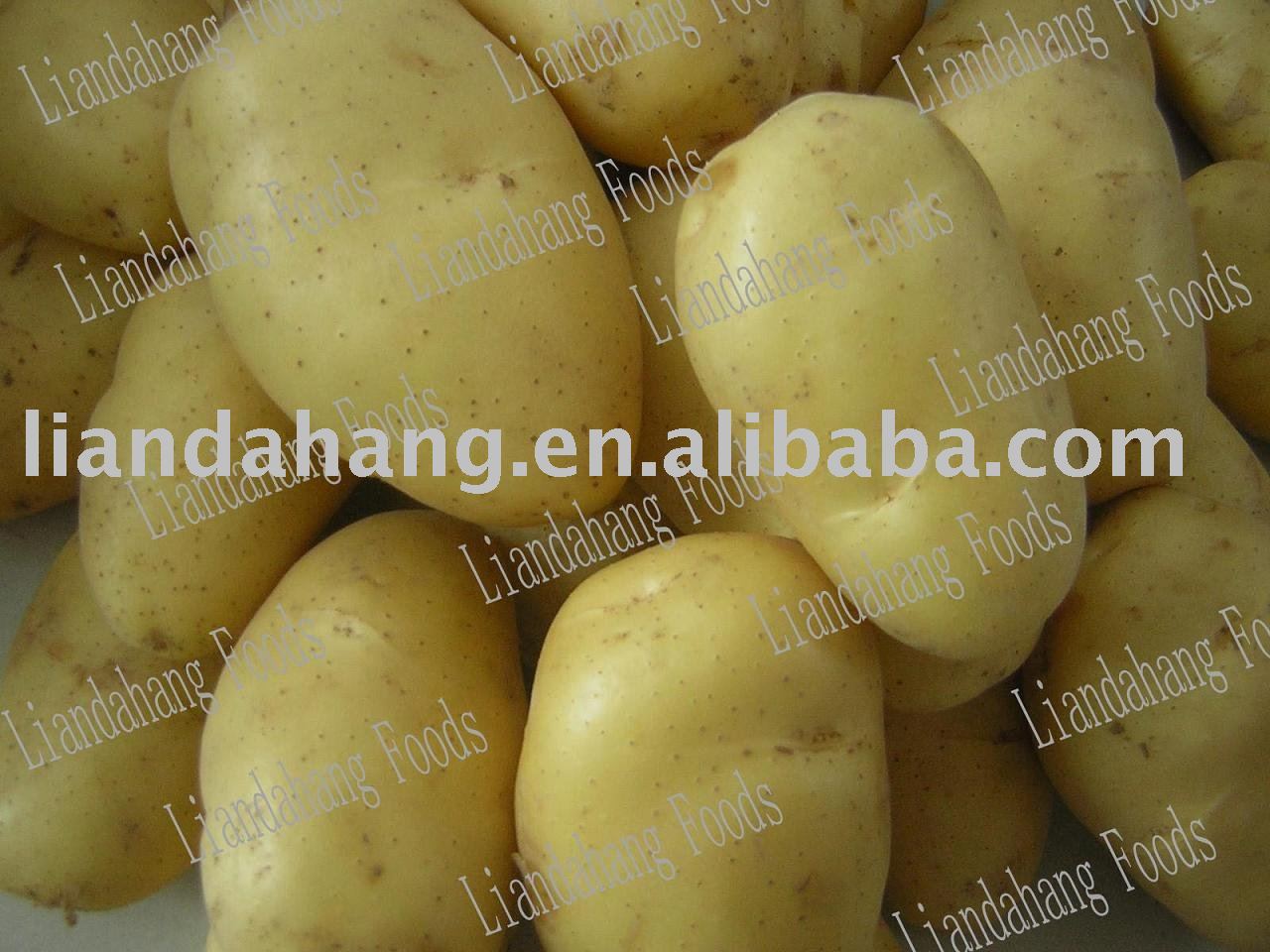 frozen Potato