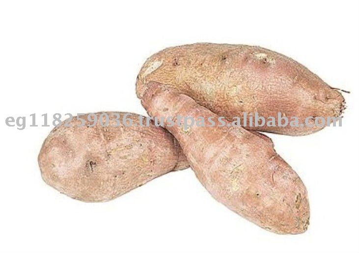 ARKANZA Fresh Sweet Potato