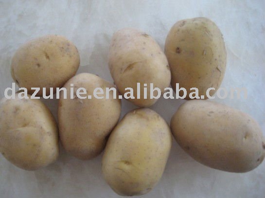 2011 New fresh Potatoes
