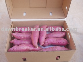 sweet potato ( purple sweet potato/ fresh sweet potato )