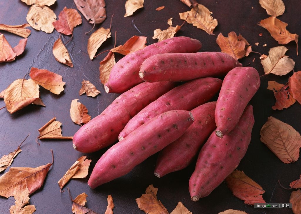 fresh sweet potato