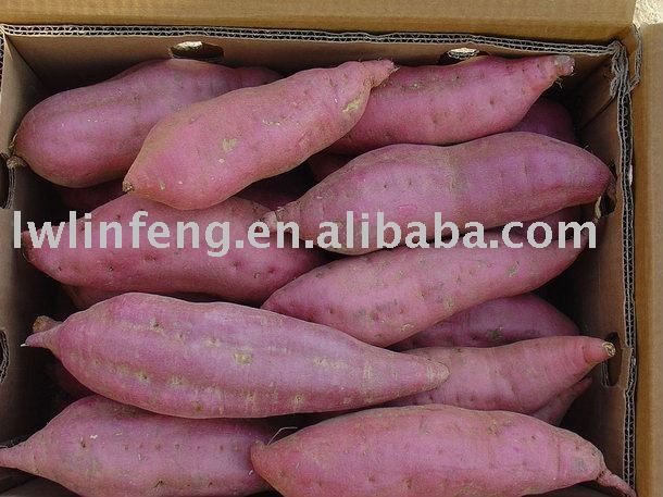 Fresh Sweet Potato