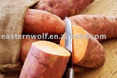 Chinese Fresh Sweet Potato in 10KG/Carton
