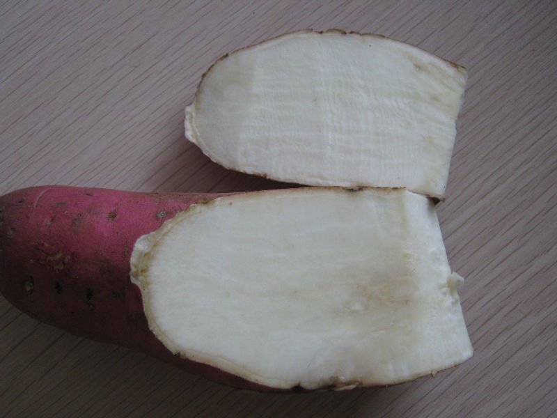 sweet potato
