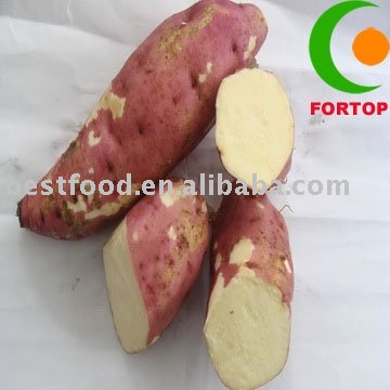 Chinese Sweet Potato
