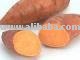 Sell Sweet Potato
