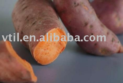 Sweet Potato