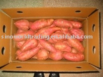 Fresh sweet potato