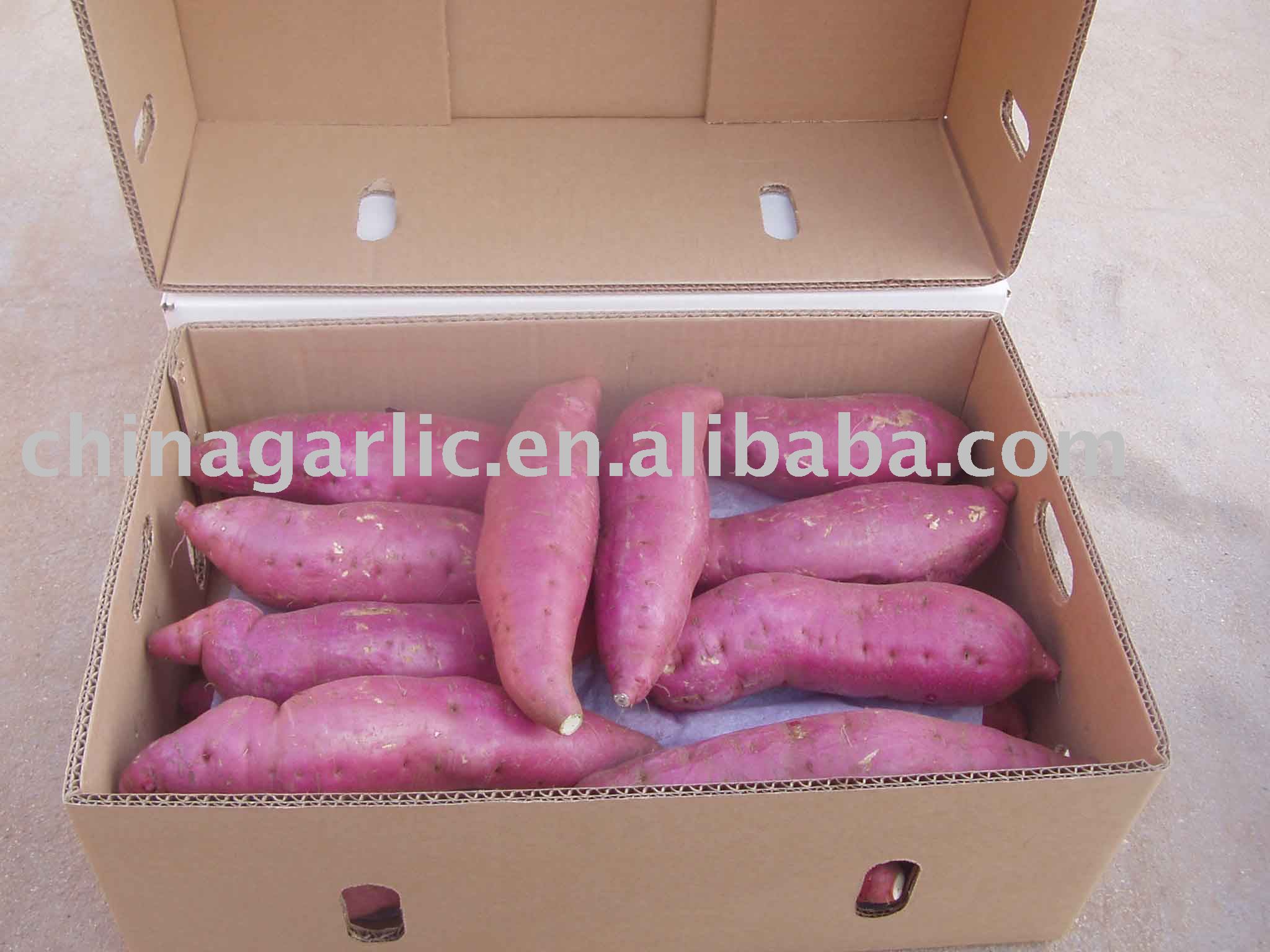 sweet potato