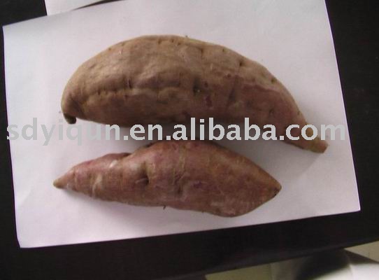 Purple sweet potato