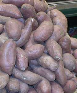 sweet potato,potato and others
