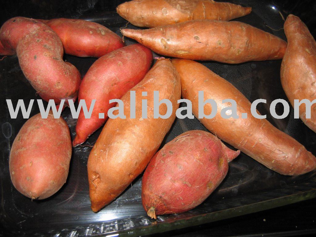 Sweet Potato