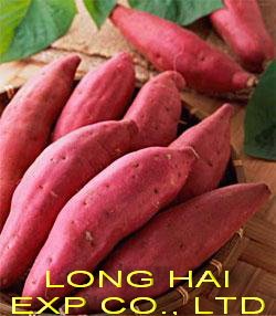 Export Japan yellow Sweet Potato