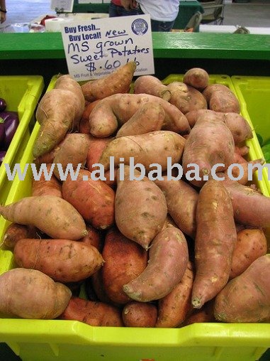 Fresh Sweet Potatoes and other Potatoes for sale