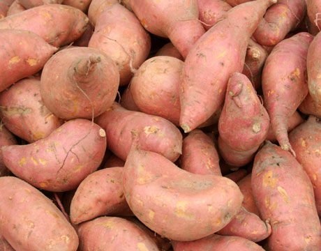fresh sweet potatoes