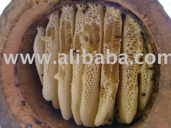 NATURAL  COMB  HONEY  old system in wooden hive